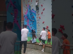 Das Fiberglas Bouldering-Geschwindigkeits-Klettern hält Berufsantikorrosion
